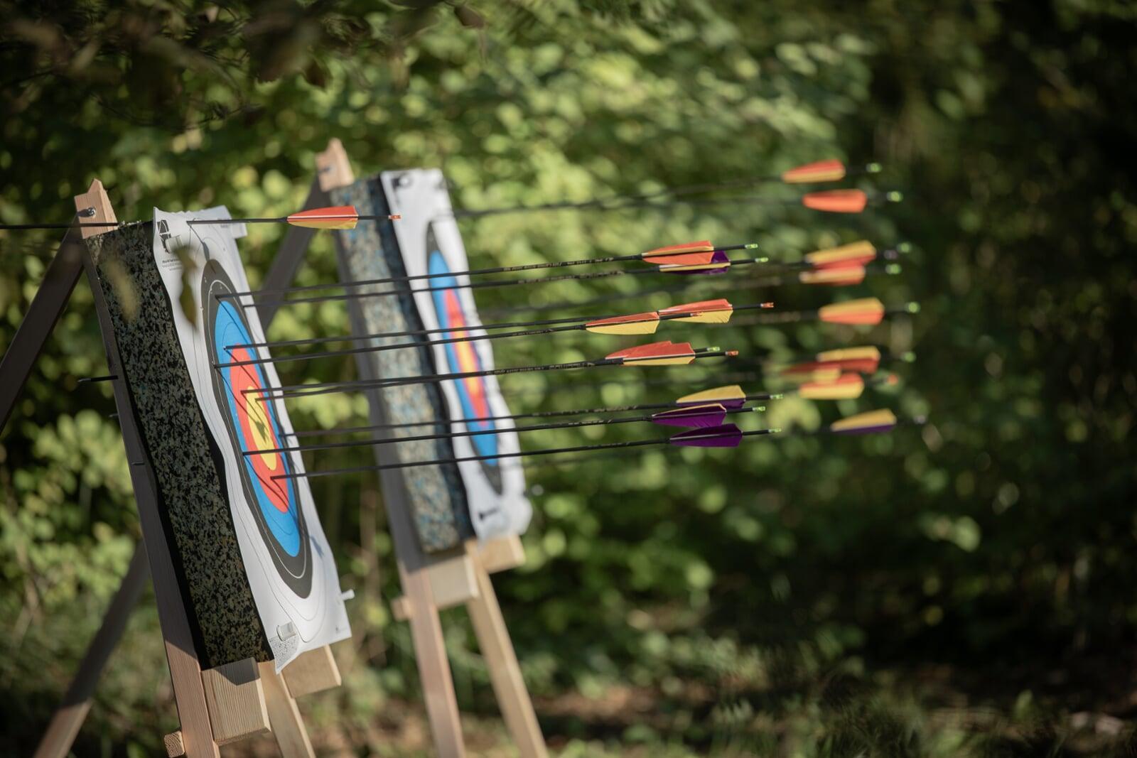Pfeile stecken in zwei Zielscheiben